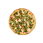 Vegetarian Pizza 